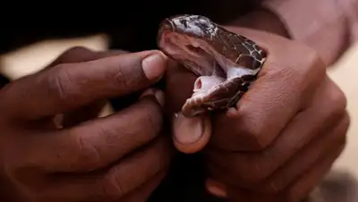 РИА Новости, фото - Новости Zakon.kz от 02.05.2018 10:18