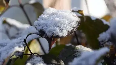 kp.ru, фото - Новости Zakon.kz от 18.10.2018 09:30