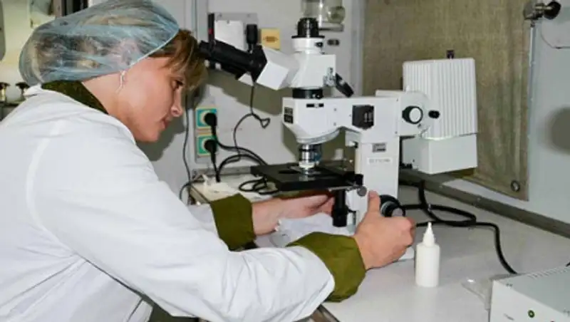 Минздрав: Ситуация по случаю регистрации сибирской язвы находится на контроле