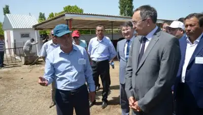 Zakon.kz, фото - Новости Zakon.kz от 14.05.2017 04:49