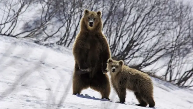 Осадки ожидаются сегодня в большинстве регионов страны