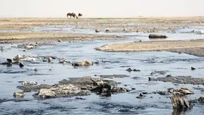 ecocitizens.kz, фото - Новости Zakon.kz от 05.10.2021 11:03