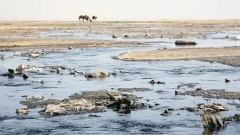 Как решат проблему экологии в Мангистауской области