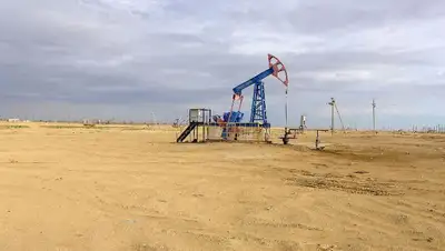 трейдеры, курс доллара, баррель, фото - Новости Zakon.kz от 26.08.2022 12:17