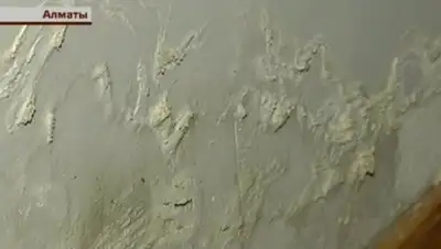 Zakon.kz, фото - Новости Zakon.kz от 08.01.2016 07:50