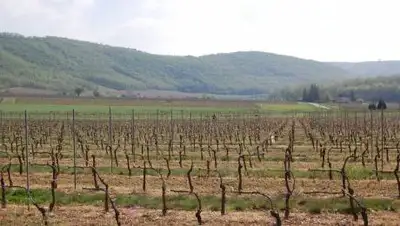 The Edible Editor, фото - Новости Zakon.kz от 17.04.2021 17:02