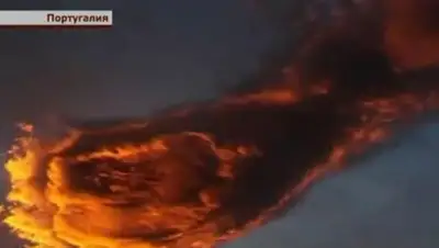 Zakon.kz, фото - Новости Zakon.kz от 02.02.2016 04:14