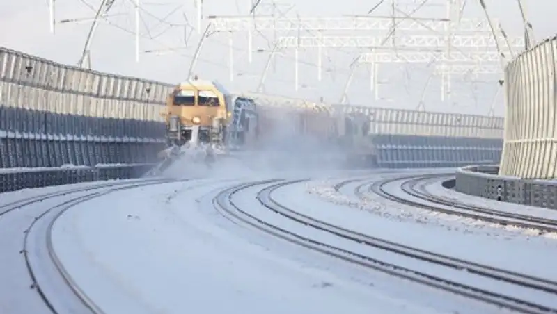 Уволена проводница поезда, выгнавшая женщину с ребенком на мороз