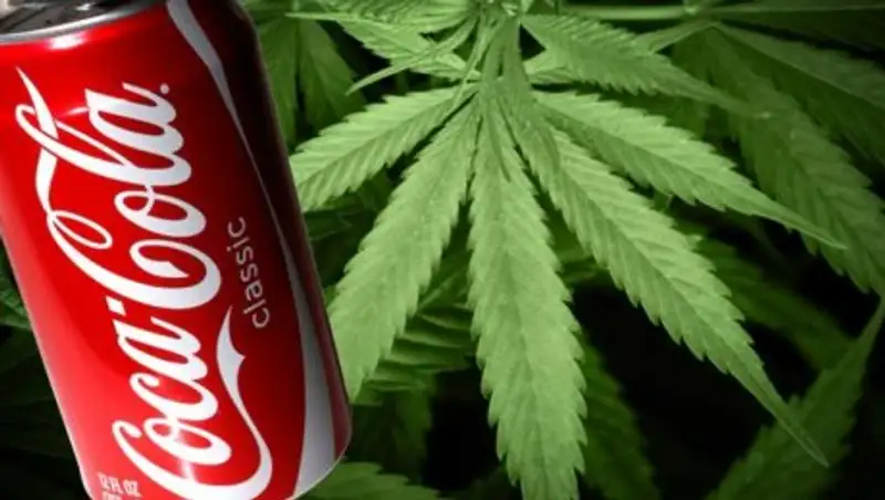 Coca-Cola будет выпускать газировку из марихуаны