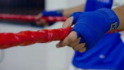 pixabay, фото - Новости Zakon.kz от 27.01.2019 09:52