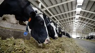 РИА Новости, фото - Новости Zakon.kz от 10.04.2018 23:14