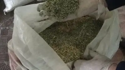 Zakon.kz, фото - Новости Zakon.kz от 27.03.2017 21:52