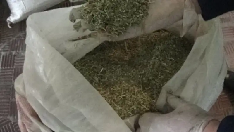 В Алматинской области задержали очередного торговца наркотиками