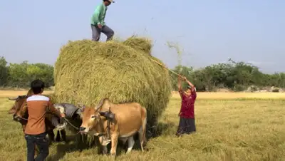 pxhere.com, фото - Новости Zakon.kz от 23.10.2019 09:33