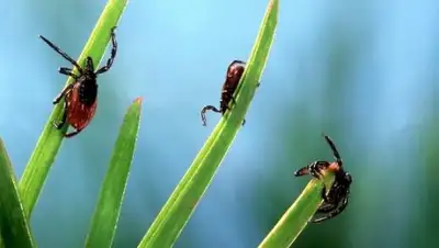 Zakon.kz, фото - Новости Zakon.kz от 24.06.2015 04:41
