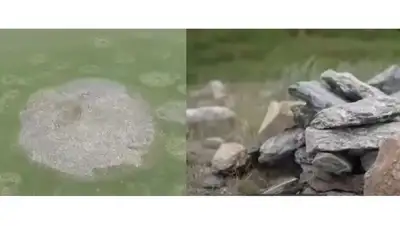 археология, фото - Новости Zakon.kz от 30.06.2022 01:18