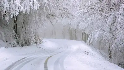зима, фото - Новости Zakon.kz от 05.01.2023 19:29