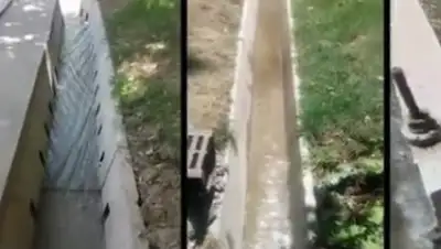 кадр видео, фото - Новости Zakon.kz от 23.07.2019 16:35