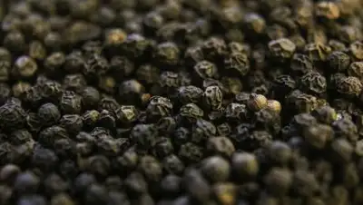 Pixabay, фото - Новости Zakon.kz от 12.10.2020 16:26