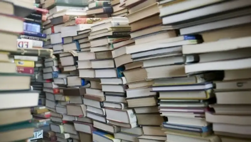 МОН требует наказать акимат ЮКО за срыв поставок учебников в регион