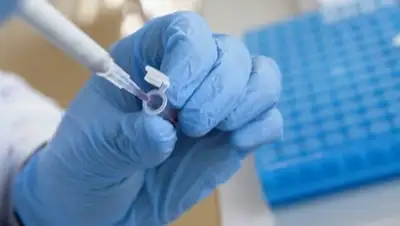 Pixabay, фото - Новости Zakon.kz от 26.04.2020 13:50