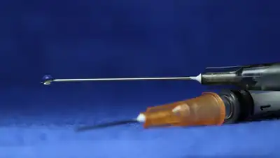 Pixabay, фото - Новости Zakon.kz от 12.06.2020 16:09