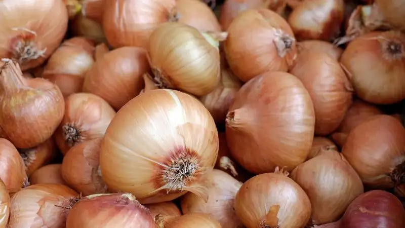 Казахстан снял запрет на экспорт лука