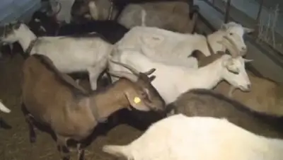 Zakon.kz, фото - Новости Zakon.kz от 30.03.2016 23:26