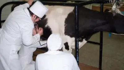 inform.kz, фото - Новости Zakon.kz от 16.02.2018 09:47