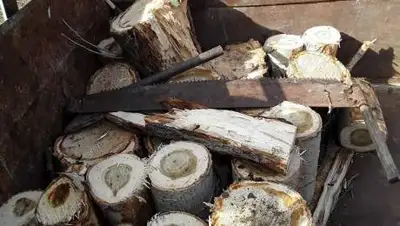 yk-news.kz, фото - Новости Zakon.kz от 14.12.2020 22:56