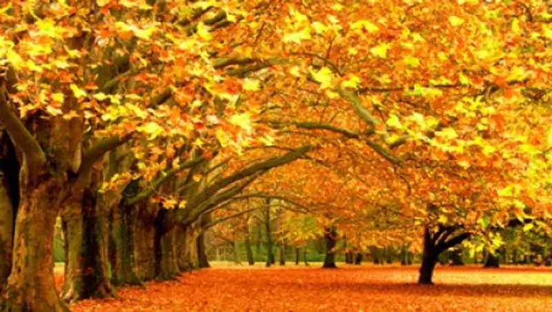 Какая погода ждет казахстанцев в выходные