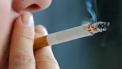 Zakon.kz, фото - Новости Zakon.kz от 03.09.2017 17:05