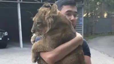 Zakon.kz, фото - Новости Zakon.kz от 03.10.2017 22:05