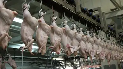 Открытые источники, фото - Новости Zakon.kz от 18.11.2018 19:27