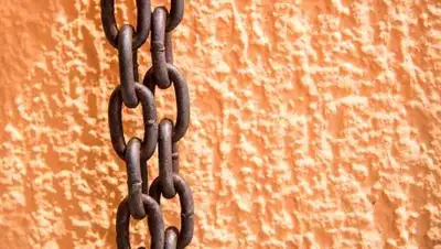 pxhere.com, фото - Новости Zakon.kz от 13.06.2021 13:33