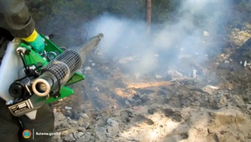 В Астане борются с комарами