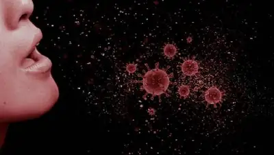 zakon.kz., фото - Новости Zakon.kz от 28.12.2020 06:15