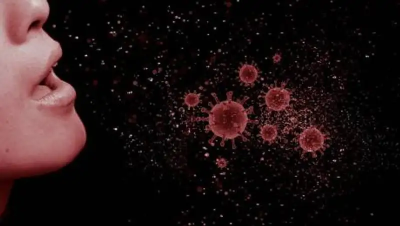 Биолог оценила эффективность антител к коронавирусу против нового штамма