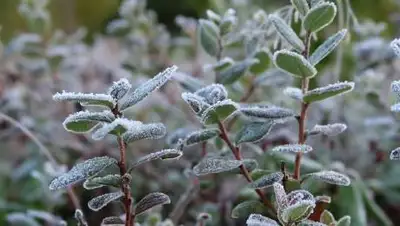 pixabay.com, фото - Новости Zakon.kz от 19.04.2021 11:53