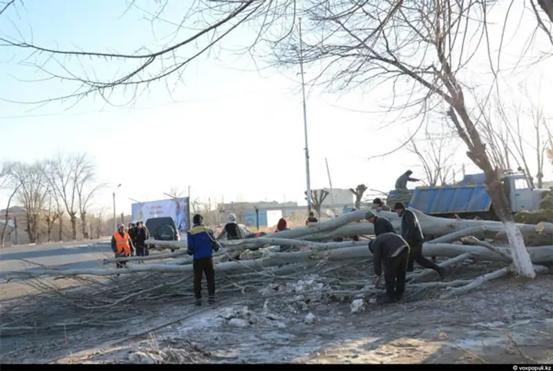 В Жамбылской области полным ходом идут восстановительные работы по следам разрушительного урагана, фото - Новости Zakon.kz от 14.01.2013 17:56