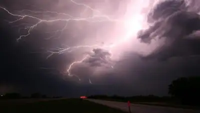 liter, фото - Новости Zakon.kz от 24.07.2020 06:02