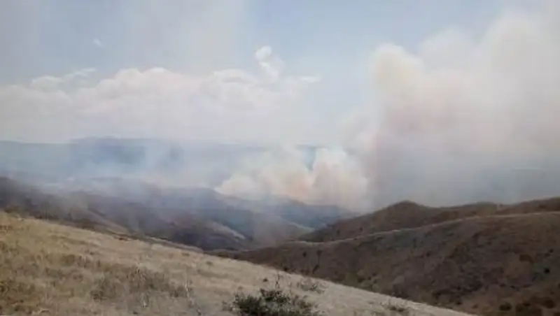 При тушении пожара в Жамбылской области погиб лесник