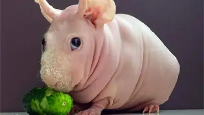 Zakon.kz, фото - Новости Zakon.kz от 17.05.2016 15:56