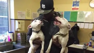 Zakon.kz, фото - Новости Zakon.kz от 05.01.2015 16:38