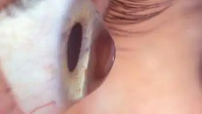 из открытых источников, фото - Новости Zakon.kz от 29.10.2018 18:15