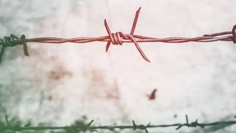 Пограничники Пакистана застрелили афганцев, нарушивших границу