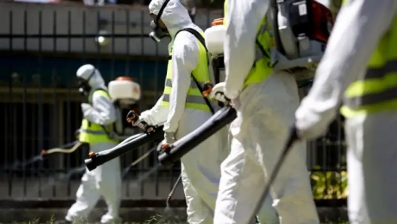 В Чехии выявлен первый случай заражения вирусом Зика