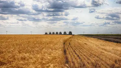 Россия восстановила участие в "зерновой сделке" с Украиной