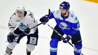 rusdialog.ru, фото - Новости Zakon.kz от 08.12.2018 16:03