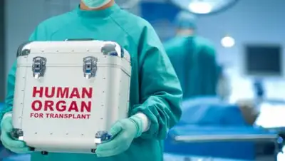 Мой город, фото - Новости Zakon.kz от 19.09.2018 23:38